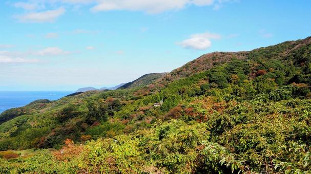 秋の西伊豆・石部棚田からの眺め・松崎町 秋の西伊豆・石部棚田からの眺め・松崎町 秋,石部棚田,色づくの写真素材