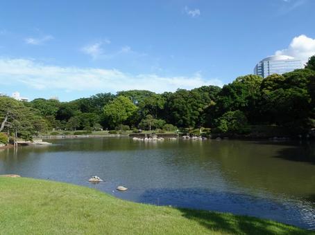 六義園の大泉水 六義園の大泉水の写真