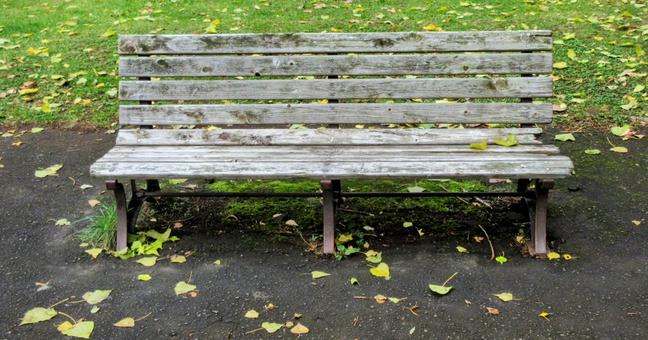 晩秋のベンチの写真