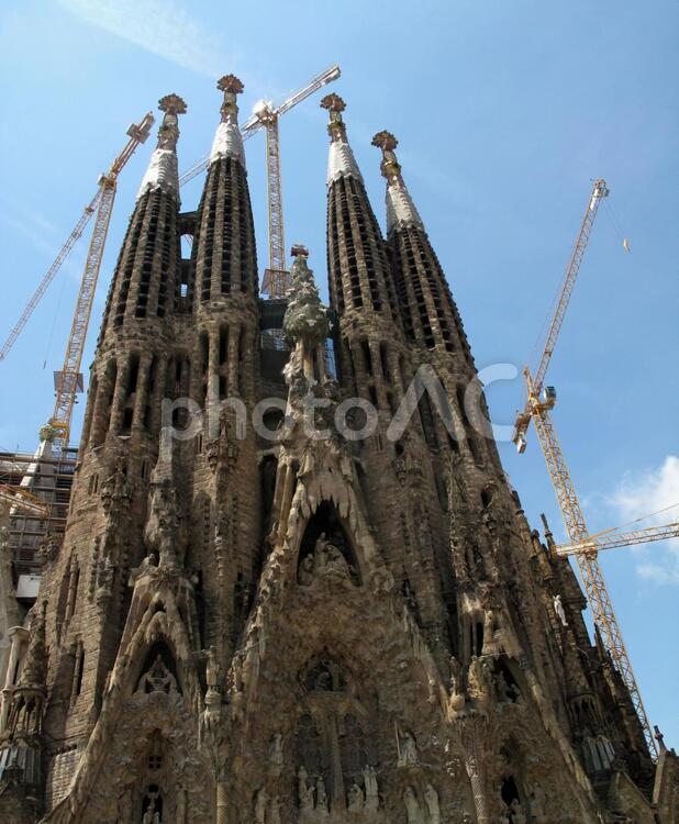スペイン　バルセロナ　サグラダファミリア サグラダ・ファミリア,教会,世界遺産の写真素材