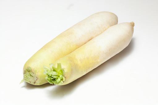 大根1 大根1 新鮮,大根,野菜の写真素材