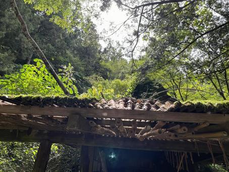 廃屋 廃屋,屋根,木材の写真素材