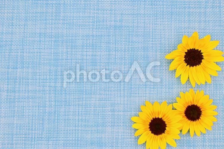 ひまわりの背景素材 生地,素材,背景の写真素材