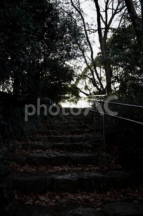 暗い階段 階段,暗い,シルエットの写真素材