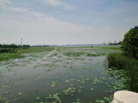 蘇州 湖 蘇州 湖の写真