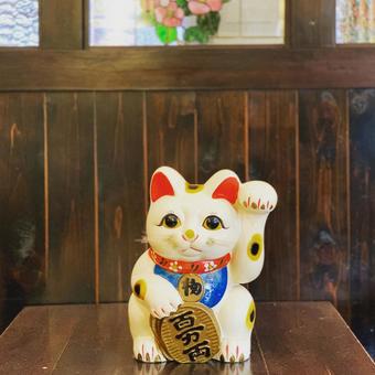 招き猫 招き猫の写真
