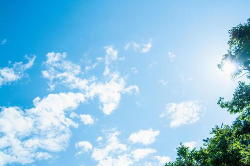 夏空 夏空の写真
