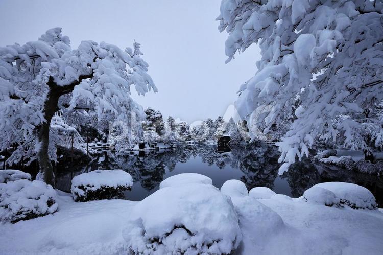 雪景色の兼六園 兼六園,石川県,金沢市の写真素材