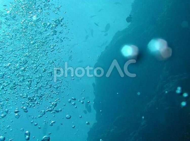 水中写真-崖と泡 生き物,水中写真,沖縄の写真素材