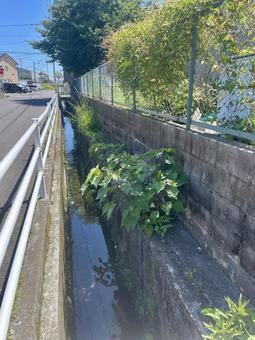 風景 用水路のある景色 風景 用水路のある景色の写真