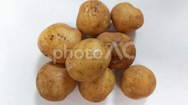 小玉ジャガイモB 野菜,ジャガイモ,食材の写真素材
