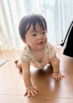 赤ちゃん ハイハイ 赤ちゃん ハイハイの写真