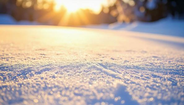 朝日に輝く雪面のクローズアップ 朝日に輝く雪面のクローズアップの写真
