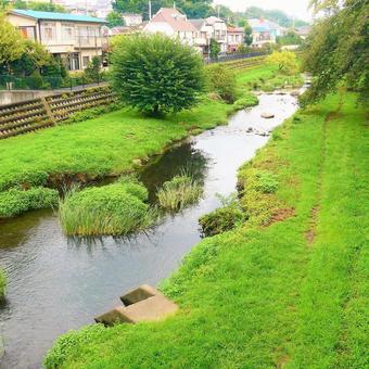 川の景色 川の景色の写真