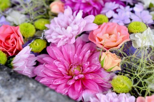 花手水 花手水の写真