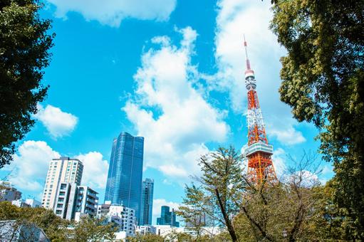 芝公園付近からの風景 芝公園付近からの風景 芝公園,風景,青空の写真素材