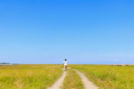 青空の下、まっすぐに伸びる道 道,一本道,歩くの写真素材