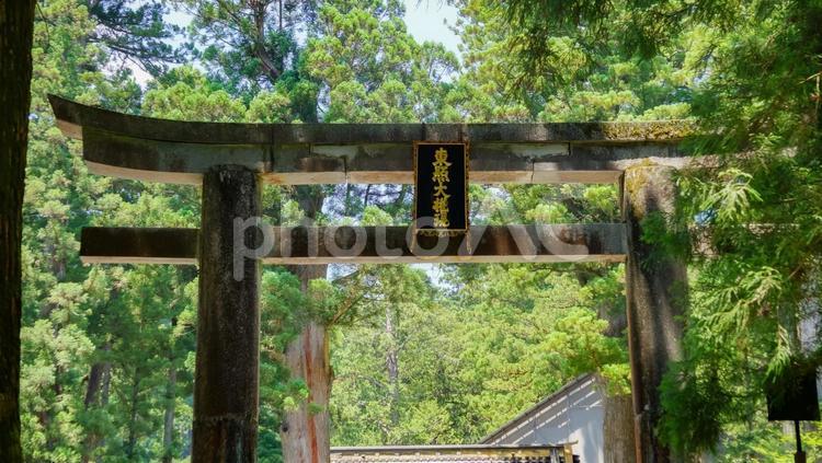 栃木県日光市（東照宮）No6 栃木県,日光市,日本最大規模の写真素材