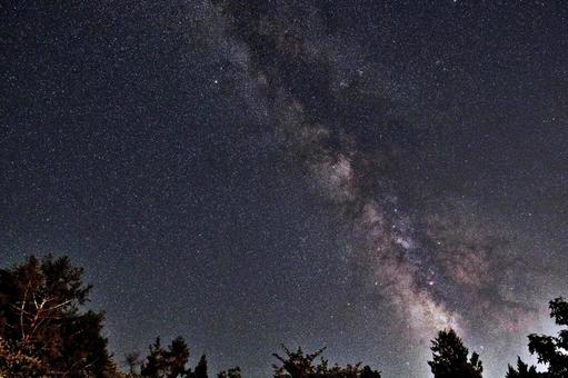 森の夜空1 森の夜空1 星空,天の川,銀河の写真素材