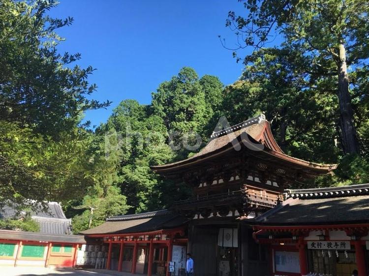 石上神宮　楼門　回廊　天理市　青空 石上神宮,楼門,回廊の写真素材
