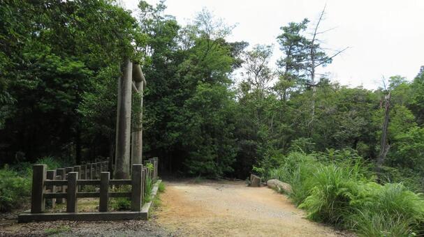 日向大神宮　伊勢神宮遥拝所 日向大神宮,神社,神社仏閣の写真素材
