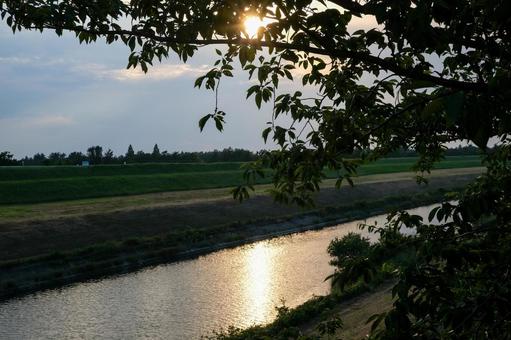 さいたま市の鴨川 鴨川,荒川,さくら草橋の写真素材