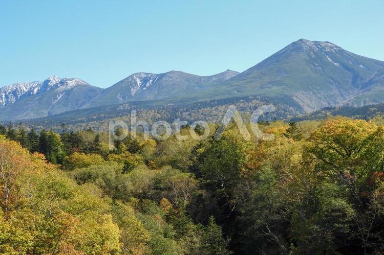紅葉が始まった美瑛白ひげの滝付近 美瑛,白ひげの滝,十勝岳連峰の写真素材