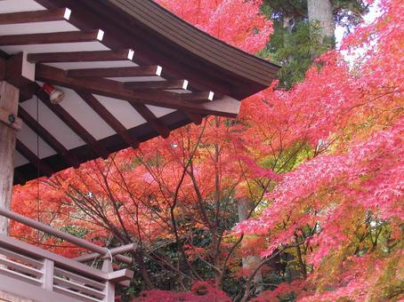 京都 大原 京都 大原の写真