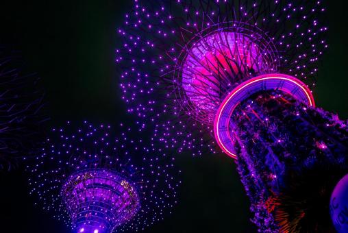 【シンガポール】ガーデンズバイザベイ ガーデンズバイザベイ,シンガポール,ガーデンの写真素材