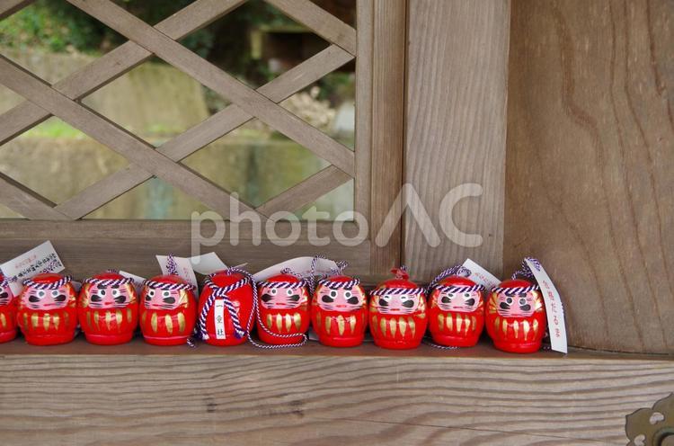 だるま合格祈願 お願い,だるま,受験の写真素材