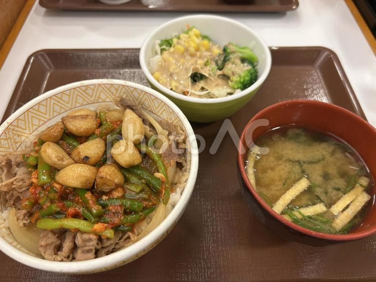 にんにく香る牛丼定食 牛丼,にんにく,ピリ辛の写真素材