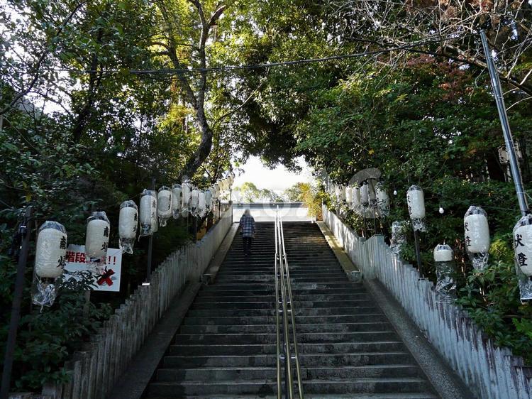冬の神社の参道にて 参道,新年,初詣の写真素材