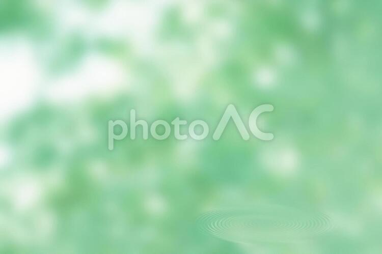 木漏れ日と波紋 緑,グラデーション,テクスチャの写真素材