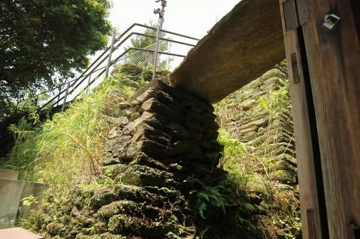 苔生す石の橋と豊かな緑 苔,緑,植物の写真素材