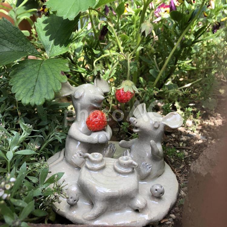 ねずみの親子（ティータイム） ねずみ,メルヘン,ファンタジーの写真素材