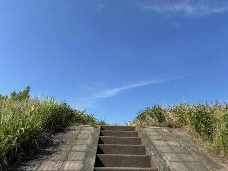 堤防の階段 多摩川,堤防,階段の写真素材
