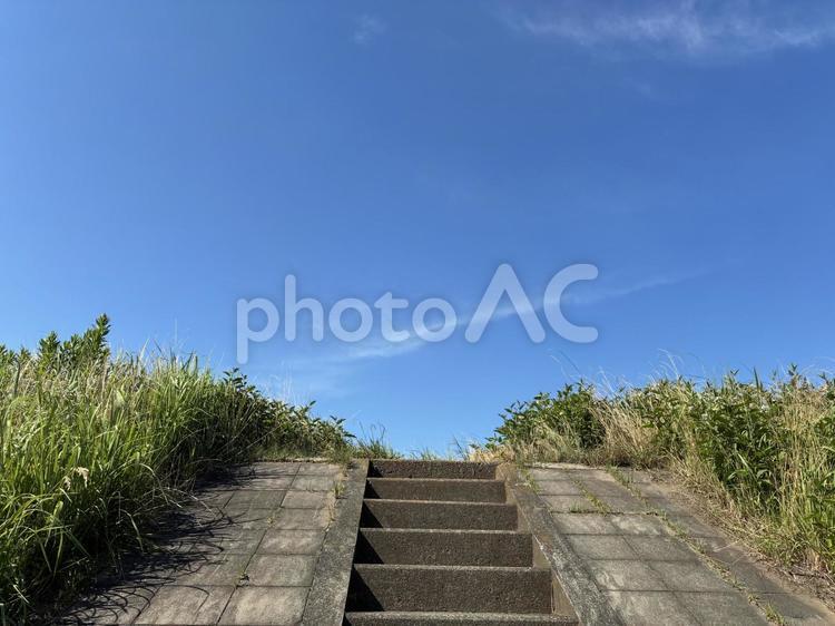 堤防の階段 多摩川,堤防,階段の写真素材
