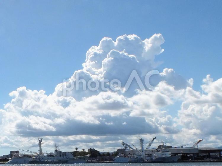 ８月の湧き上がる雲　港の風景 雲,入道雲,積乱雲の写真素材