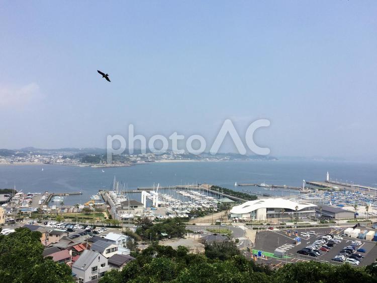 江ノ島からの風景 海岸,とんび,鳥の写真素材