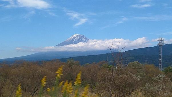 富士山 富士山の写真