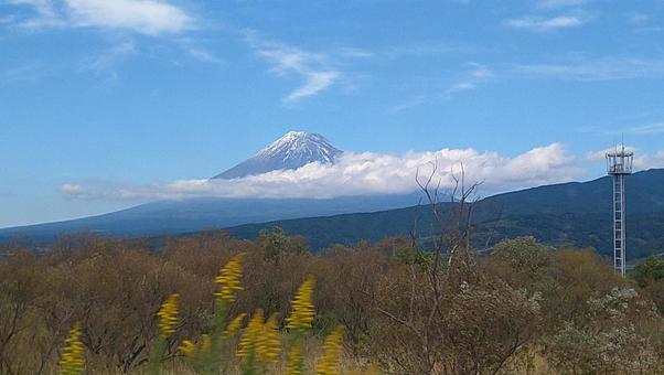 照片, 富士山, 风景, 天空, 