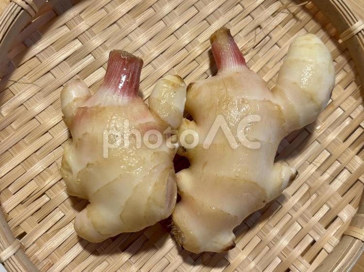 新しょうが 新しょうが,食べ物,食材の写真素材