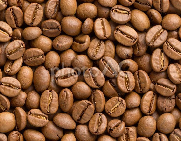 浅煎りコーヒー豆 コーヒー豆,豆,食材の写真素材