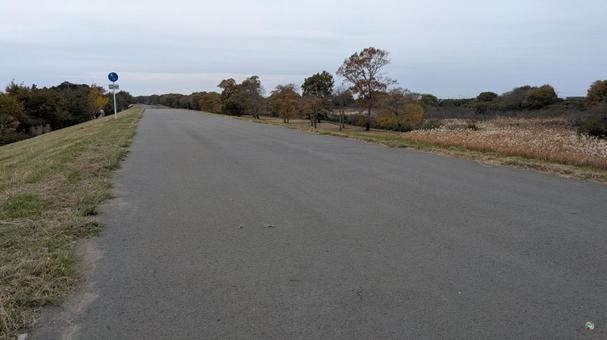 果てなく続く道 道,道路,サイクリングロードの写真素材