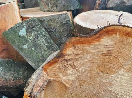 Layers of firewood with beautiful natural grain, JPG
