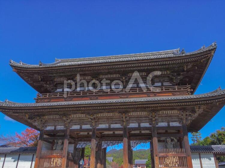 【京都府】仁和寺の三門 仁和寺,京都,紅葉の写真素材