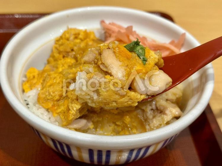 シンプルな親子丼　紅しょうがをトッピング 紅しょうが,親子丼,丼ものの写真素材