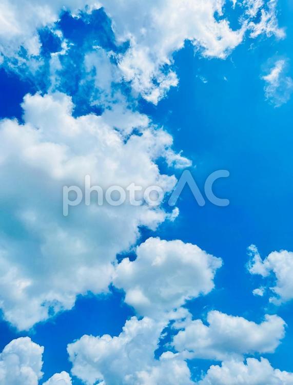 背景素材　青空と白い雲 空,そら,雲の写真素材