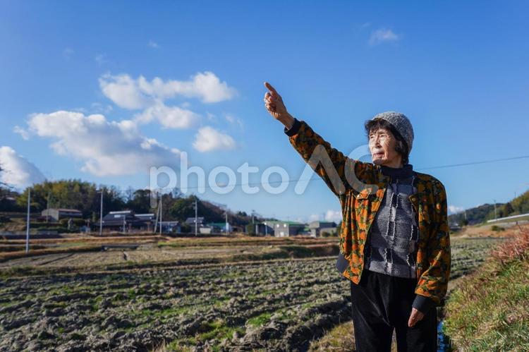 田舎で上を指差す高齢の女性 土,畑,老人の写真素材