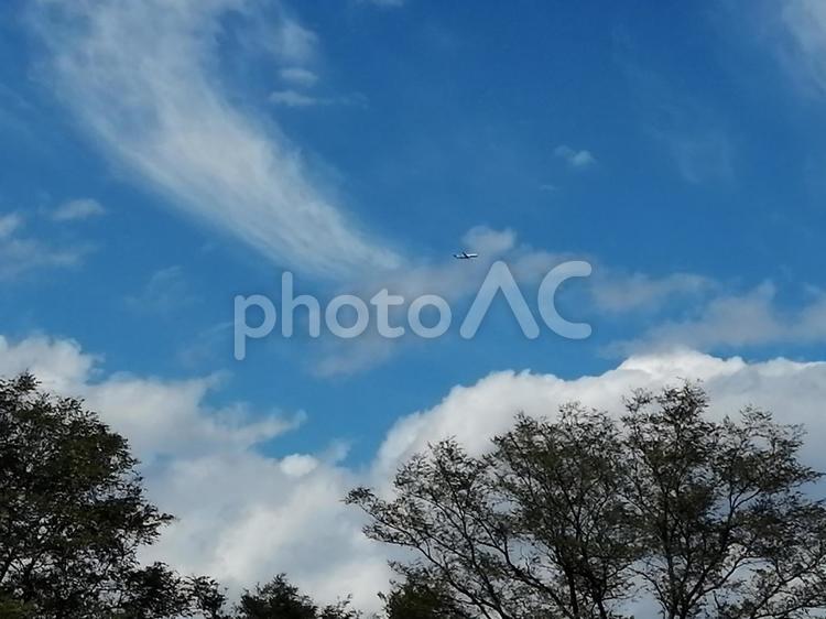 空と雲6　雲　巻層雲　うすぐも　かすみ雲　空背景 巻層雲,空,雲の写真素材